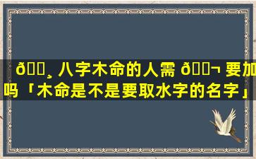 🌸 八字木命的人需 🐬 要加木吗「木命是不是要取水字的名字」
